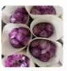 鲜花-洋牡丹洋葱紫/1*1扎 商品图0