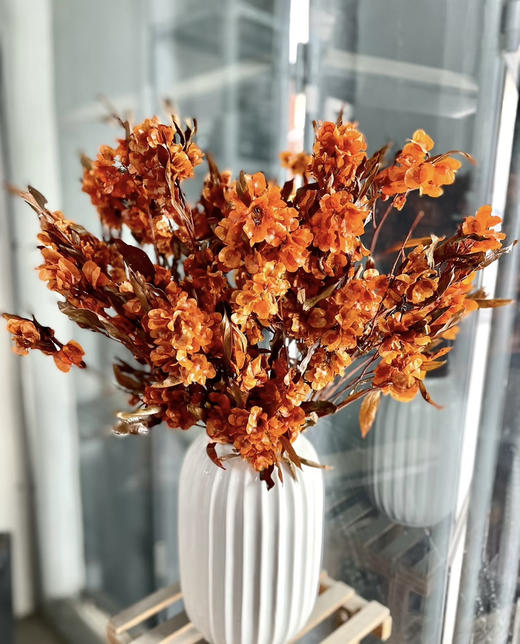 【年花】迎客豆  干花    红色/橙色 若干枝/扎 商品图4