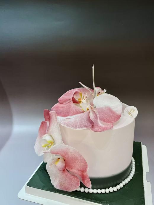 蝴蝶兰 商品图4