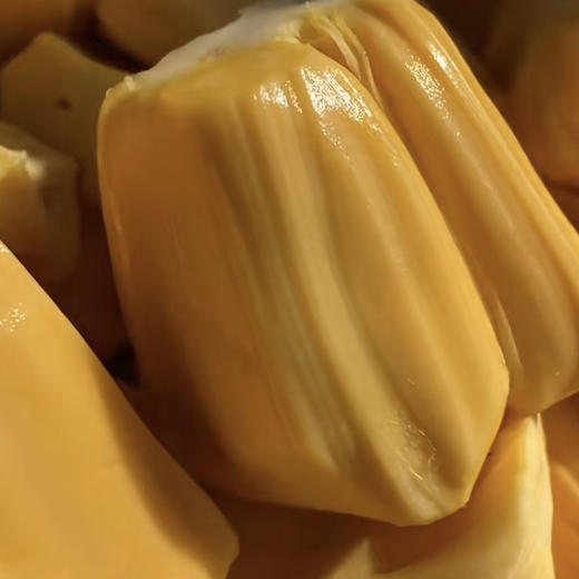 菠萝蜜 商品图0