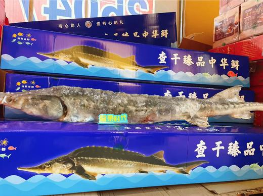 冻中华鲟礼盒 商品图2