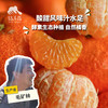 生态砂糖橘  (桂林) | 合作生产 *Sand Sugar Orange | Partner Production 商品缩略图0