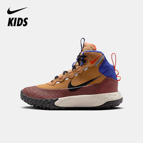 Nike Terrascout 大童运动靴 IH7683