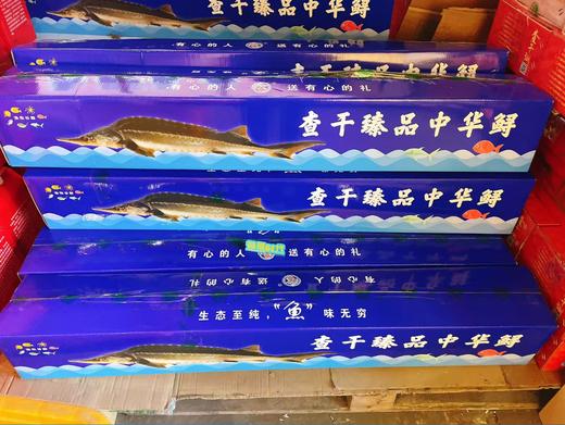 冻中华鲟礼盒 商品图0