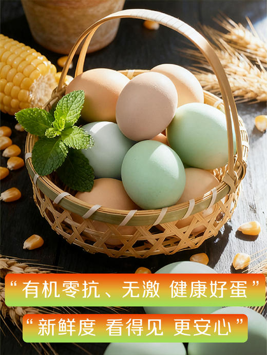 有机零抗五彩鸡蛋 商品图2