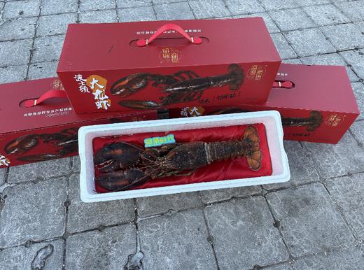 波士顿龙虾礼盒 商品图0