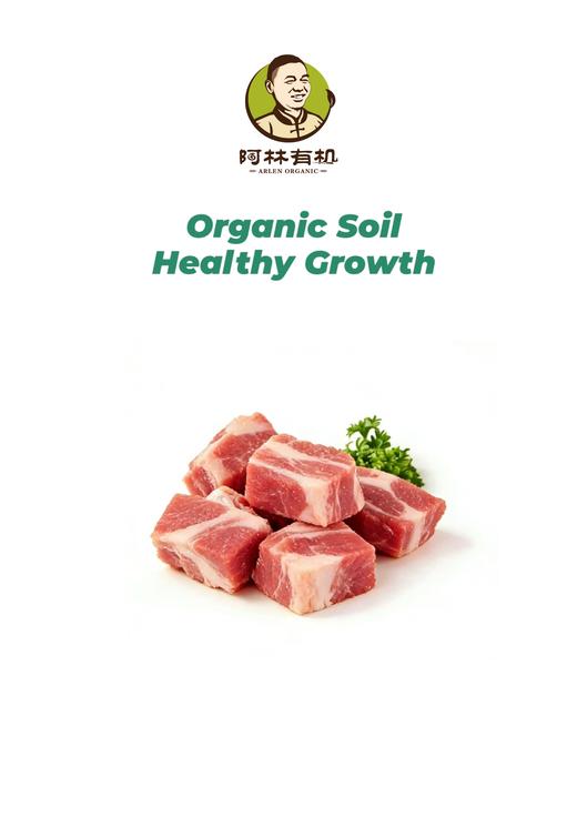 无抗亚麻籽通排 商品图0