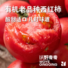 【同行精选】有机老品种西红柿3斤/4.5斤   籽粒饱满  味道浓郁   酸甜可口（适合做菜） 商品缩略图1