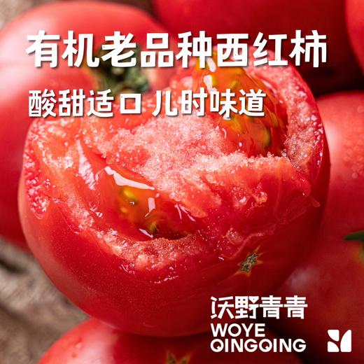 【同行精选】有机老品种西红柿3斤/4.5斤   籽粒饱满  味道浓郁   酸甜可口（适合做菜） 商品图1