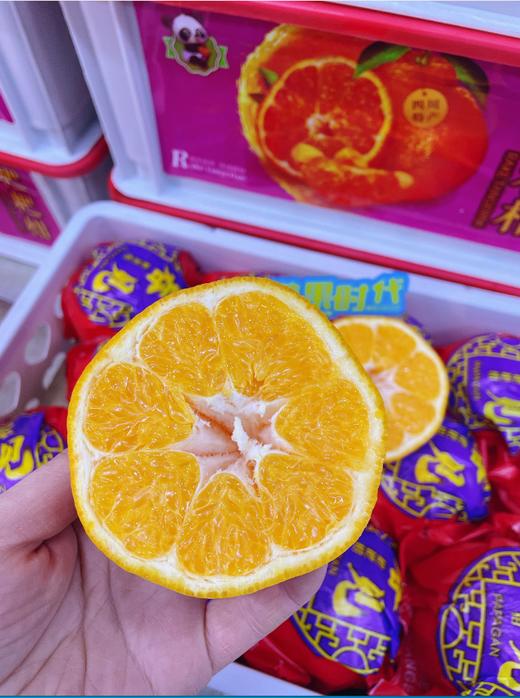 白框丑橘粑粑柑一箱 商品图2