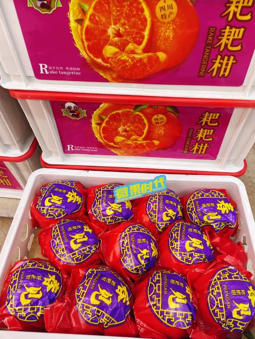 白框丑橘粑粑柑一箱 商品图0