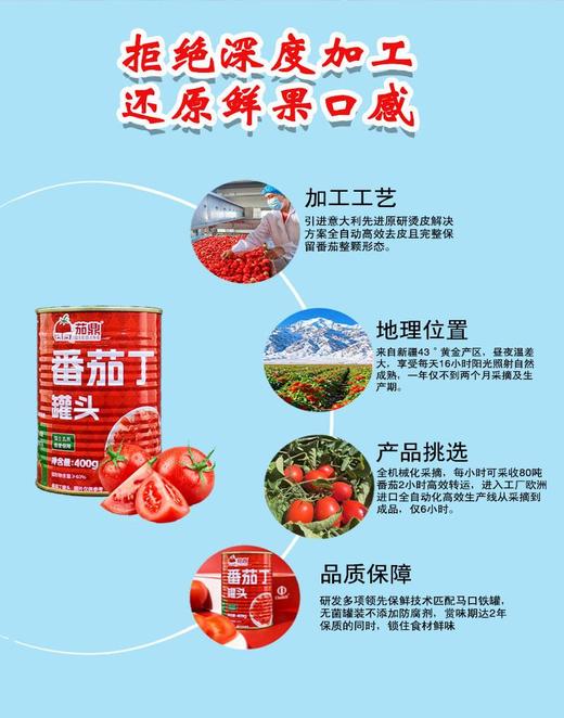 【严选】茄鼎番茄丁罐头 新疆新鲜西红柿块 0添加剂  茄鼎新疆番茄丁400g/罐 商品图3