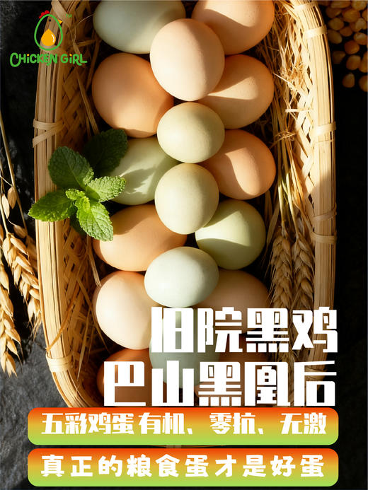 有机零抗五彩鸡蛋 商品图0