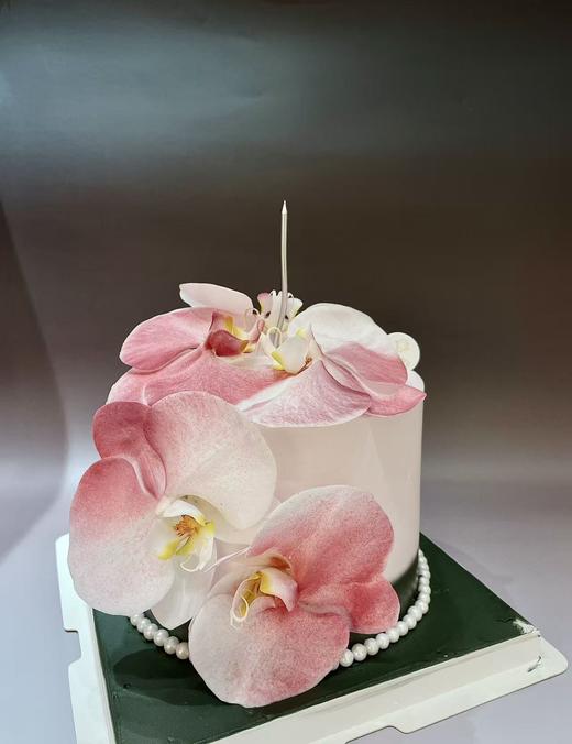 蝴蝶兰 商品图5