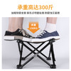 飞图乐（FTLY）露营小马扎 ZDD01 LP 商品缩略图0