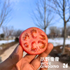 【同行精选】有机老品种西红柿3斤/4.5斤   籽粒饱满  味道浓郁   酸甜可口（适合做菜） 商品缩略图3