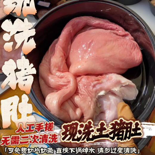 现洗猪肚 商品图0