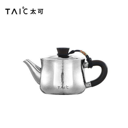 TAIC太可纯钛泡茶壶带过滤功夫茶具家用户外露营旅行钛茶具泡茶器纯钛茶韵.泡茶壶280ml（皓月银） 商品图0