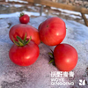 【同行精选】有机老品种西红柿3斤/4.5斤   籽粒饱满  味道浓郁   酸甜可口（适合做菜） 商品缩略图2