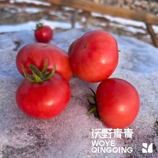 【同行精选】有机老品种西红柿3斤/4.5斤   籽粒饱满  味道浓郁   酸甜可口（适合做菜） 商品图2