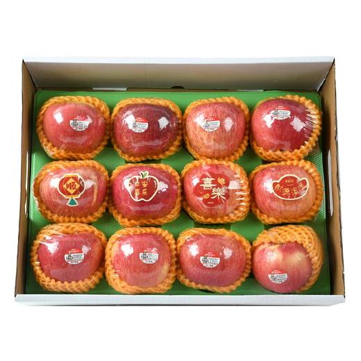 放心洛川苹果礼盒  约3kg/盒 水果礼盒 商品图1