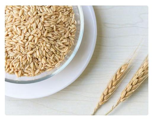 新疆奇台 丝麦耘（绿色）一等面粉5kg/袋【FY】 商品图5