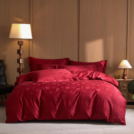 自然醒60支全棉立体亮面提花四件套HS 商品图1