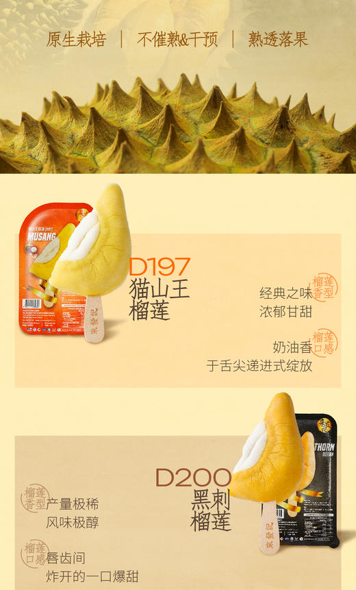 GH 来发记榴莲雪糕进口冰淇淋猫山王黑刺金凤梦中情人【组合尝鲜装】70g*4 商品图5