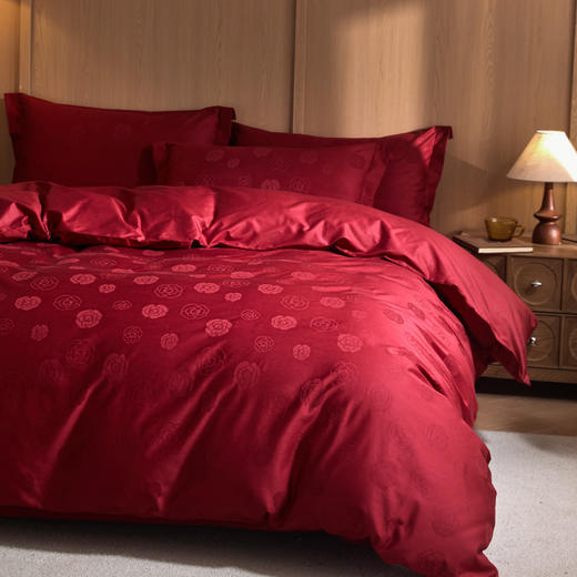 自然醒60支全棉立体亮面提花四件套HS 商品图2