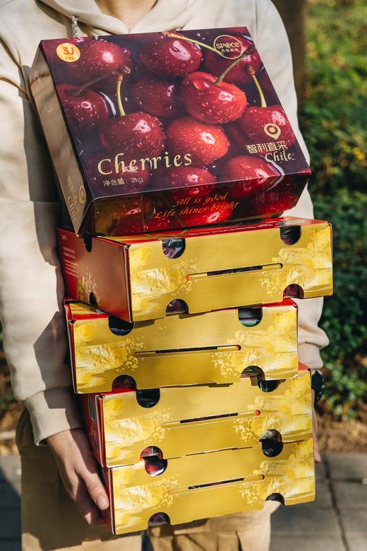 香缇莓果双拼椰子蛋糕 商品图12