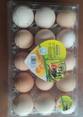 15枚装鸡蛋【MJ】