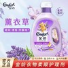 金纺衣物柔顺剂2.6kg持久留香【FY】 商品缩略图0