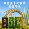 鲁常 东北纯正珍珠米5kg/袋【FY】 商品缩略图3
