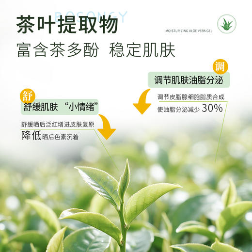 BOSONGY 玻颂 库拉索芦荟保湿凝胶 250g 商品图3