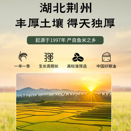 【严选】湖北监利名宇江汉大米高端香米 （原粮鄂香2号）5kg/袋（厂家直发） 商品图5