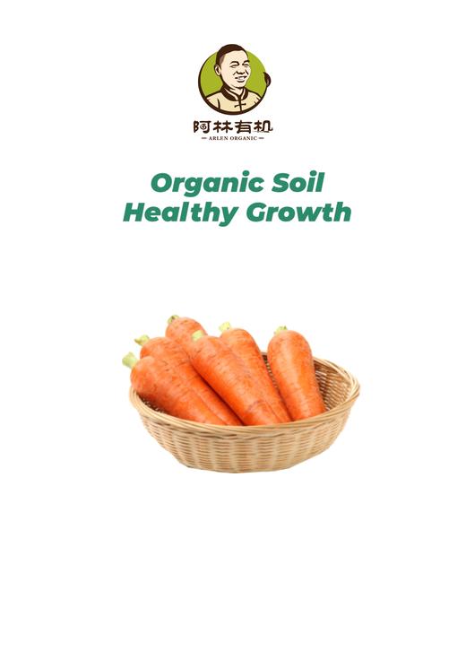 有机胡萝卜500g 商品图0