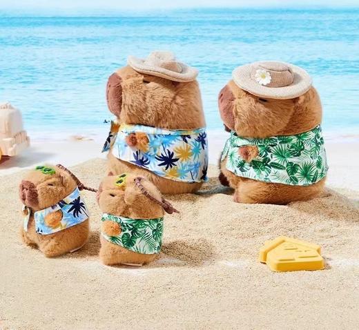 22厘米夏日卡皮 商品图0