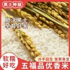 五常 寒育1981五福品优香米5kg/袋【FY】 商品缩略图1