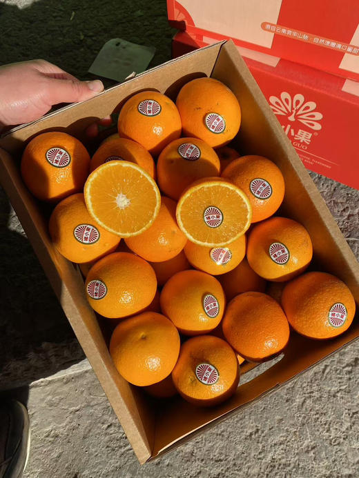 褚小果冰糖橙 礼盒装  橙子 商品图3