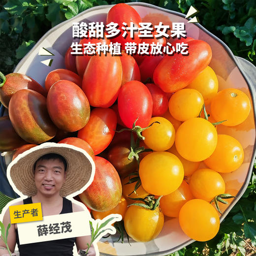 生态圣女果/小番茄（福建）| 合作生产*  Ecological tomato | Partner Production 商品图0