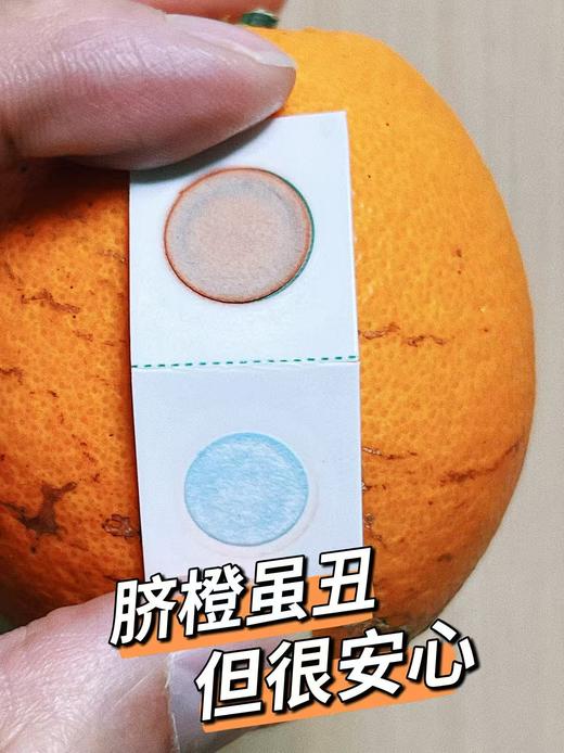 【感恩回馈 限时限量 买一赠一】赣南脐橙正宗江西赣州寻乌核心产区60-95mm精品果 商品图3