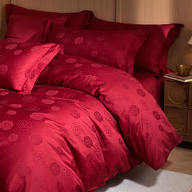 自然醒60支全棉立体亮面提花四件套HS