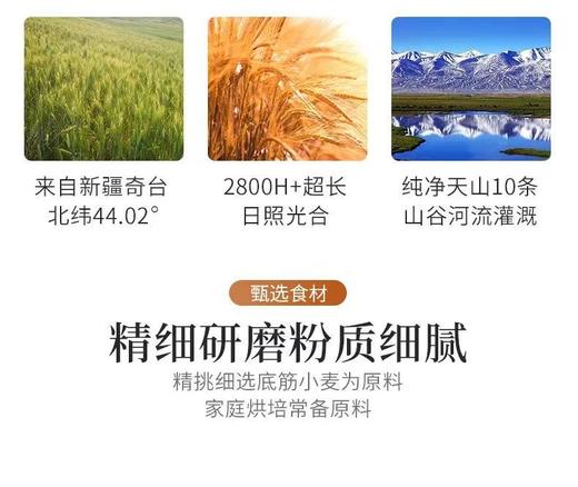 新疆奇台 丝麦耘（绿色）一等面粉5kg/袋【FY】 商品图3