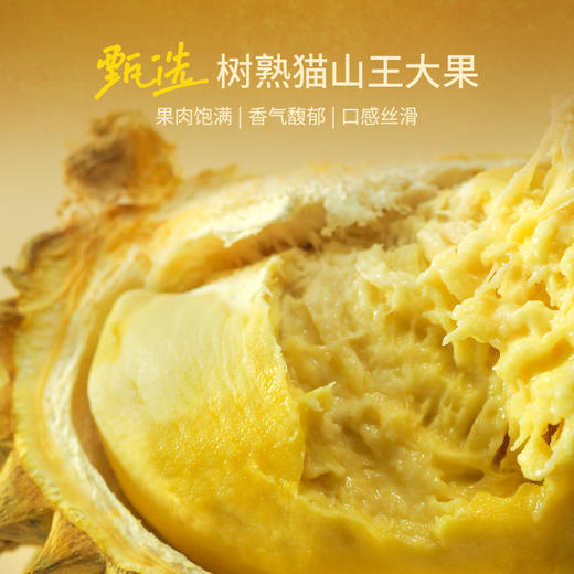 GH 来发记猫山王榴莲冰淇淋马来西亚进口冰激凌雪糕冰棍网红分享装5支装 商品图7