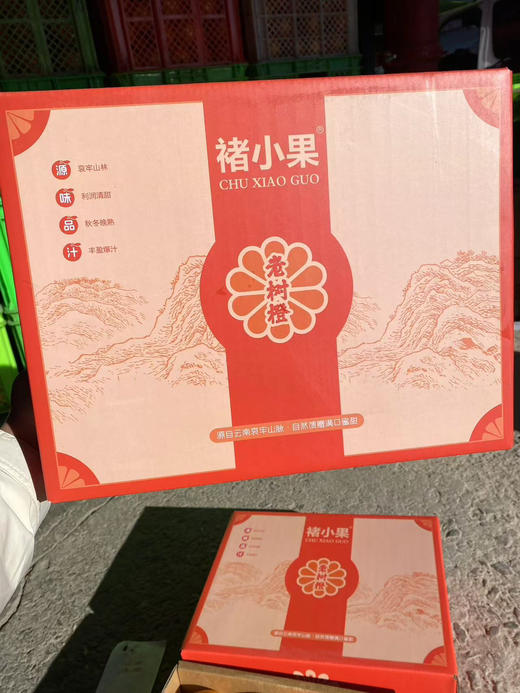 褚小果冰糖橙 礼盒装  橙子 商品图4