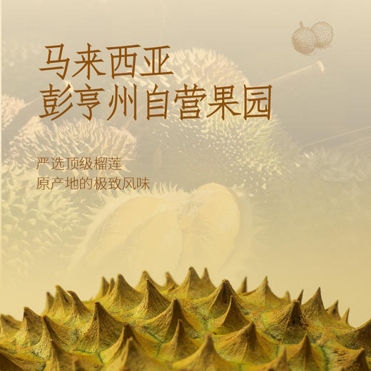 GH 来发记榴莲雪糕进口冰淇淋猫山王黑刺金凤梦中情人【组合尝鲜装】70g*4 商品图6