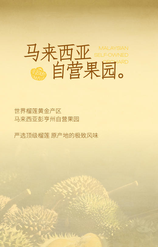 GH 来发记榴莲雪糕进口冰淇淋猫山王黑刺金凤梦中情人【组合尝鲜装】70g*4 商品图7