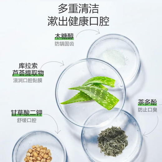 日本进口GOMI·SE秘素漱口水500-510ml/瓶【清柠薄荷丨甜蜜白桃|阳光青提】 商品图1