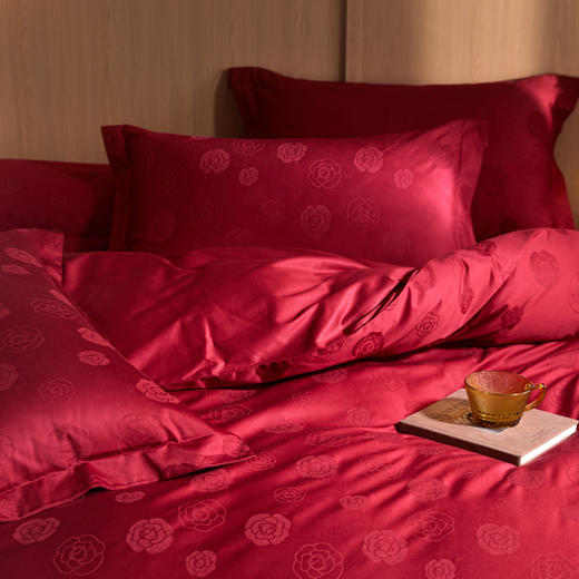 自然醒60支全棉立体亮面提花四件套HS 商品图4