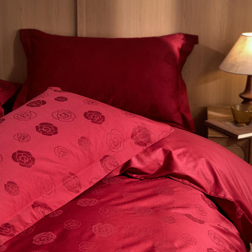 自然醒60支全棉立体亮面提花四件套HS 商品图3